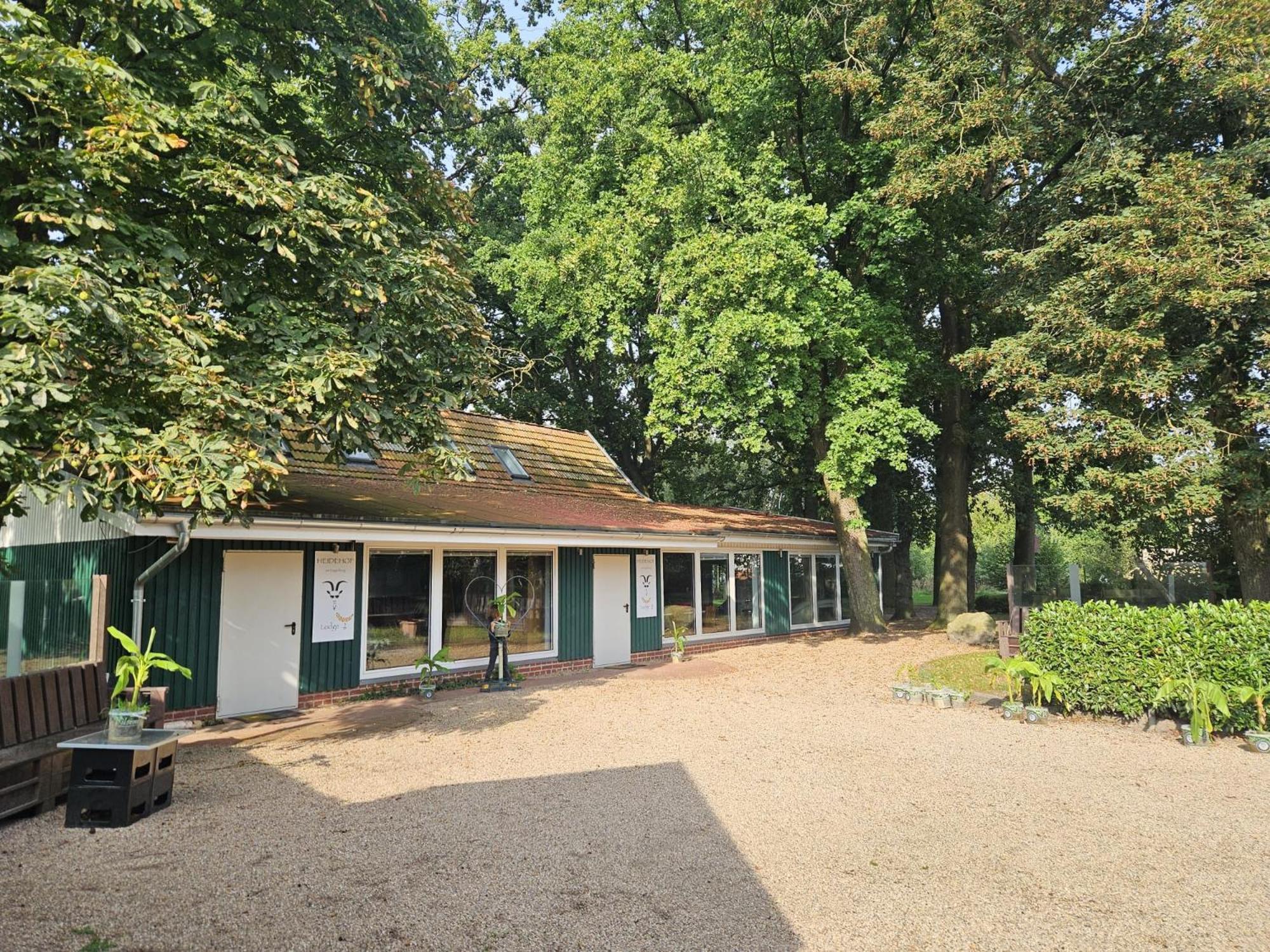 Ferienhaus Banana Lodge Bruchhausen-Vilsen Eksteriør billede