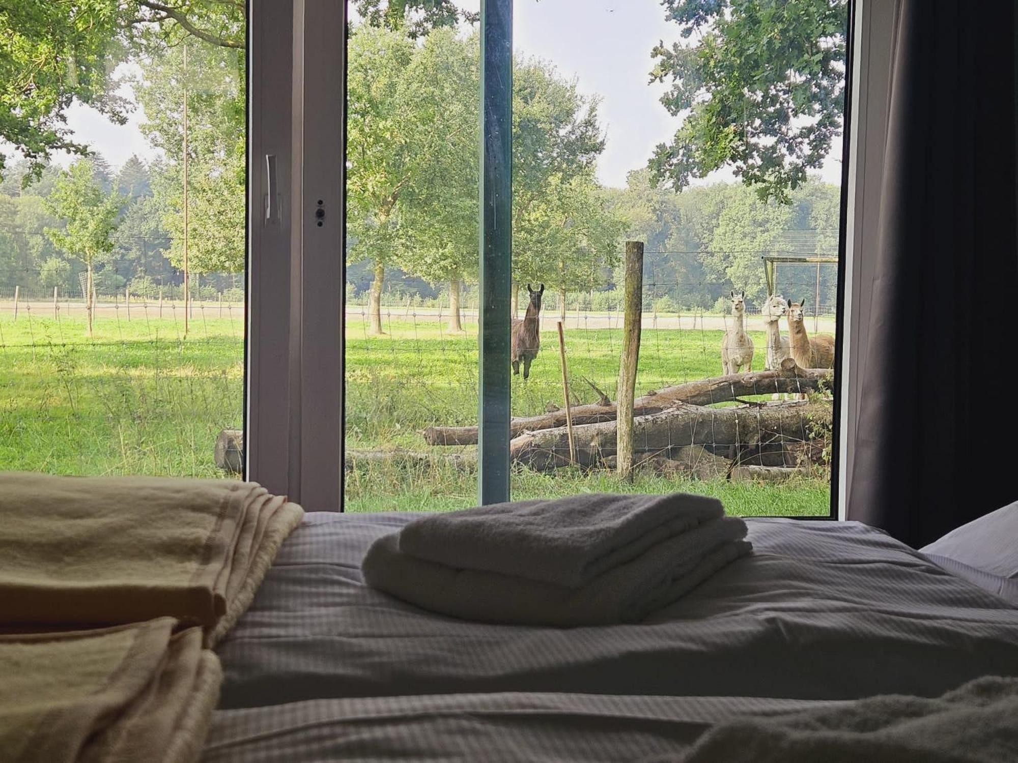 Ferienhaus Banana Lodge Bruchhausen-Vilsen Eksteriør billede