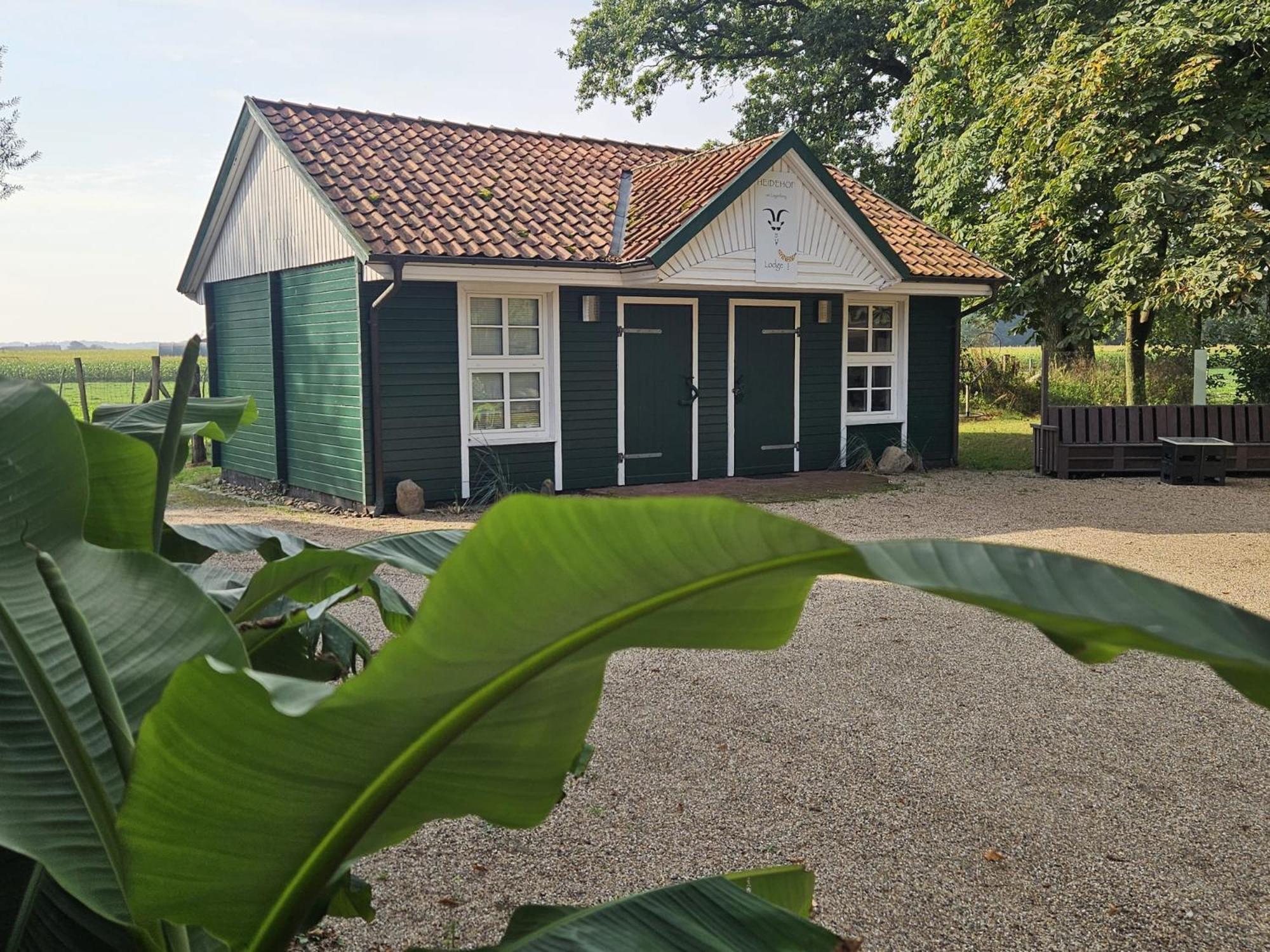 Ferienhaus Banana Lodge Bruchhausen-Vilsen Eksteriør billede